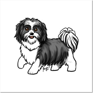 Dog - Shih Tzu - White and Black Posters and Art